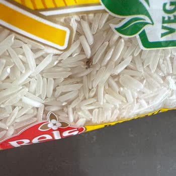 Sipariş Ettiğim Pirincin İçinden Kurt Çıktı