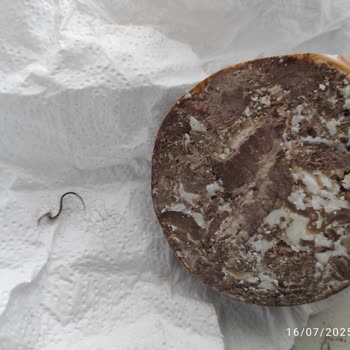 Aldığım Kavurmanın İçinden Saç Çıktı, Marketten Destek Alamadım