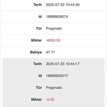 Hesabımdaki 8000 TL Habersizce Çekildi Ve Canlı Destek Engelledi