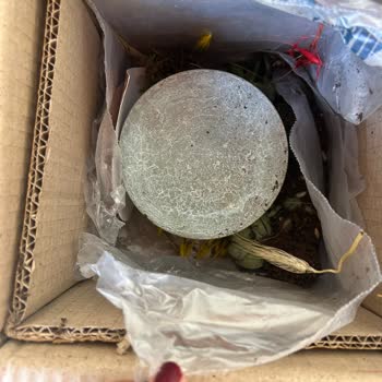 Sipariş Edilen Çiçek Beklendiği Gibi Gelmedi, Para İadesi Talep Ediyorum