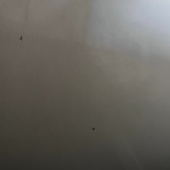 Defolu Ürün Teslimatı Ve Yetersiz Müşteri Hizmeti