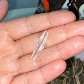 Çitlekçi Çekirdeğinden Cam Parçası Şoku: Sağlığımız Tehlikede!