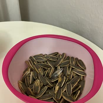 Çitlekçi Çekirdeğinden Cam Parçası Şoku: Sağlığımız Tehlikede!