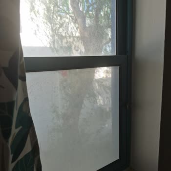 Oda Temizliği Ve Hijyen Sorunu Çocukları Korkuttu