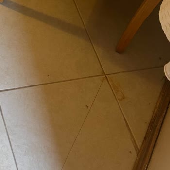 Hijyen Sorunları Ve İlgisiz Personel Nedeniyle Tatilimiz Zehir Oldu