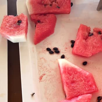 Hijyen Sorunları Ve İlgisiz Personel Nedeniyle Tatilimiz Zehir Oldu