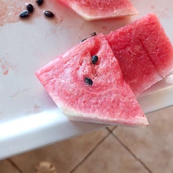 Hijyen Sorunları Ve İlgisiz Personel Nedeniyle Tatilimiz Zehir Oldu