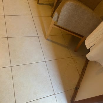 Asos Eden Beach Hotel'de Hijyen Ve Hizmet Skandalı: Tatilimiz Kabusa Döndü