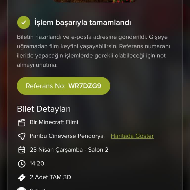 Bilet İptali Sonrası Ücret İadesi Sürecinde Yaşanan Gecikme