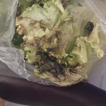 Arçelik Buzdolabım Bozuluyor, Servisten Çözüm Alamıyorum