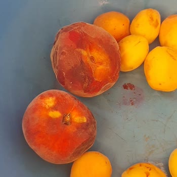 Arçelik Buzdolabım Bozuluyor, Servisten Çözüm Alamıyorum