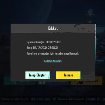 Satın Aldığım PUBG Hesaplarının Hepsi Banlı Çıktı, Destek Ekibi İlgilenmiyor
