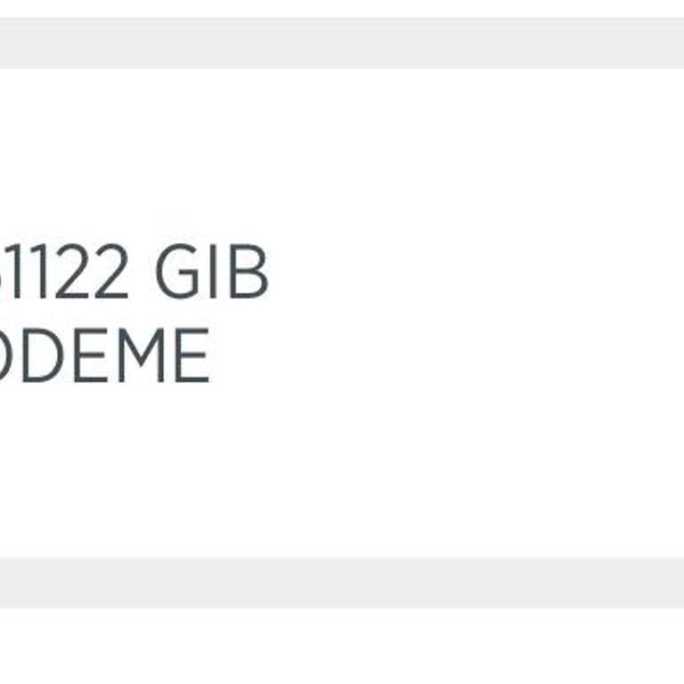 Ziraat Mobil Uygulamasında MTV Ödemesinde Taksit Seçeneği Sunulmaması Nedeniyle Mağduriyet