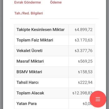 Ödenen Borcun E-Devlette Hala Görünmesi Ve İletişimsizlik Sorunu