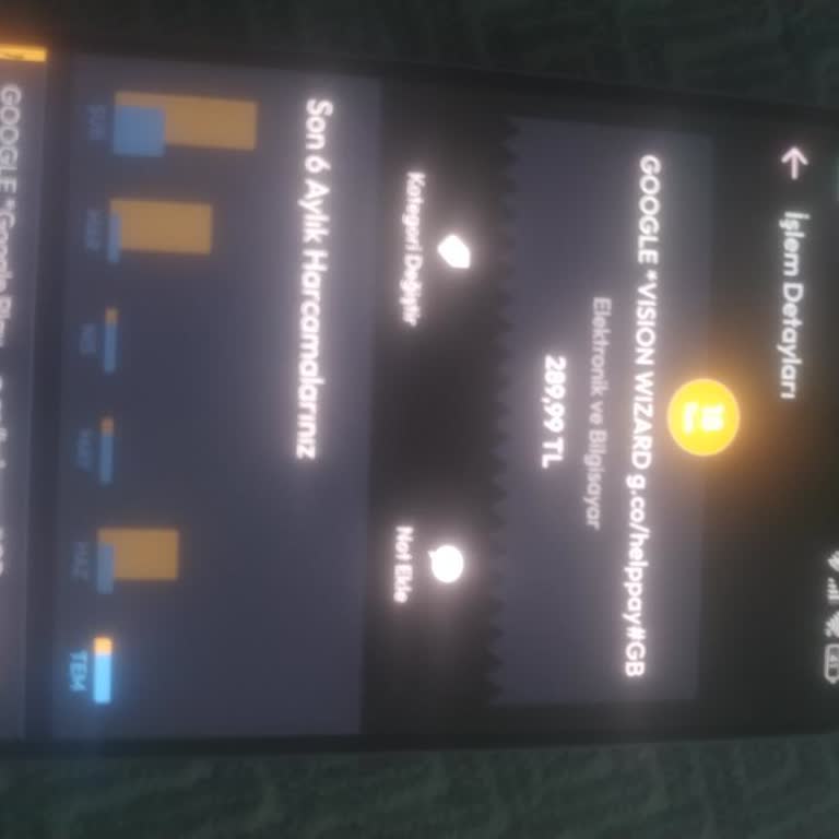 Google Vision Wizard Adına İzinsiz Para Çekilmesi Ve Abonelik Görünmemesi