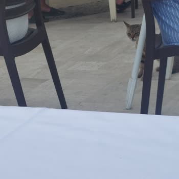 Otelin Hijyen Eksikliği Ve Çalışanların Saygısız Tavırları Tatilimizi Mahvetti