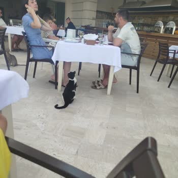 Otelin Hijyen Eksikliği Ve Çalışanların Saygısız Tavırları Tatilimizi Mahvetti