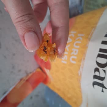 Aldığım Kuru Kayısıdan Böcek Çıktı, Güvenim Sarsıldı