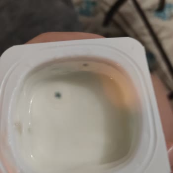 Son Kullanma Tarihi Geçmemiş Yoğurt Küflü Çıktı!