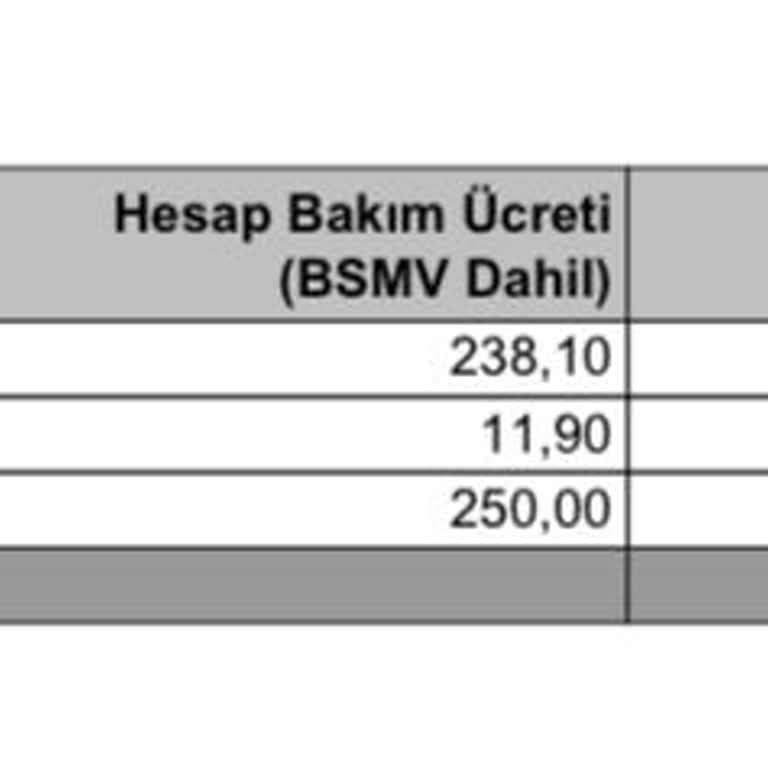 Bilgilendirme Yapılmadan Hisse Hesabı Bakım Ücreti Kesildi