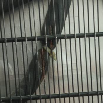 Arçelik Derin Dondurucu Paslanma Sorunu Ve Yetersiz Destek