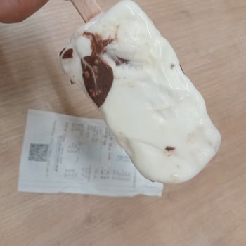 A101'den Aldığım Algida Dondurmanın İçinden Böcek Çıktı