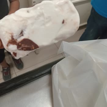 A101'den Aldığım Algida Dondurmanın İçinden Böcek Çıktı