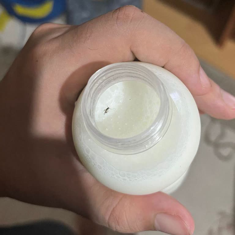 Ayranın İçinde Böcek Çıktı, İade Talebim İki Kez Reddedildi