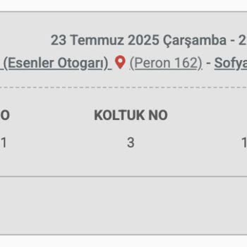 Biletall.com Bilet İptali Ve Yetersiz Bilgilendirme Nedeniyle Mağduriyet