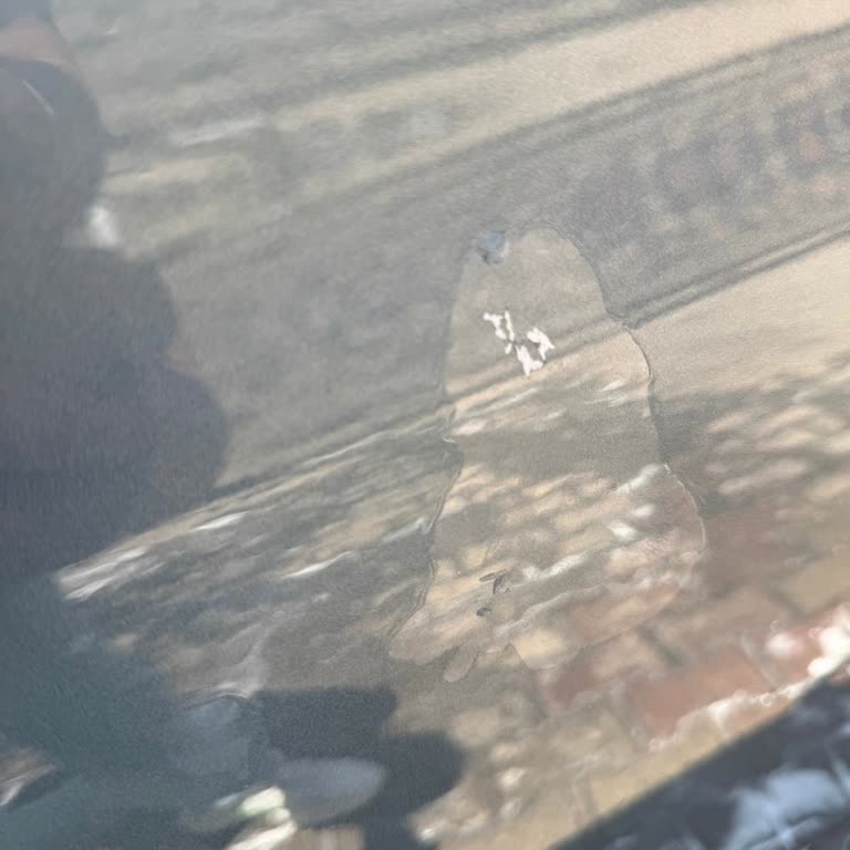 Fiat Egea Cross Aracımın Sol Arka Kapısında Kendiliğinden Boya Atması Ve Garanti Kapsamında Destek Talebi