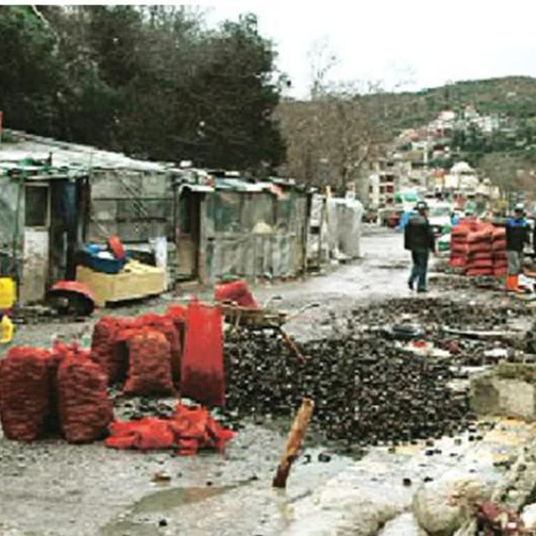 Sarıyer Rumeli Kavağında Kaçak Midye Satışına Göz Yumuluyor