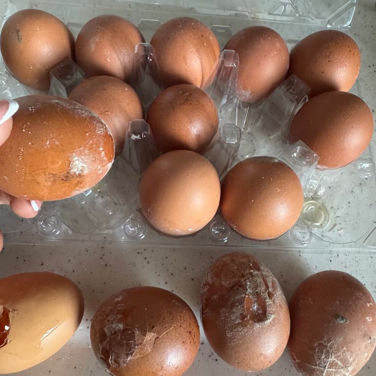 Kırık Ve Küflenmiş Yumurtalara Kupon Çözümü Kabul Edilemez