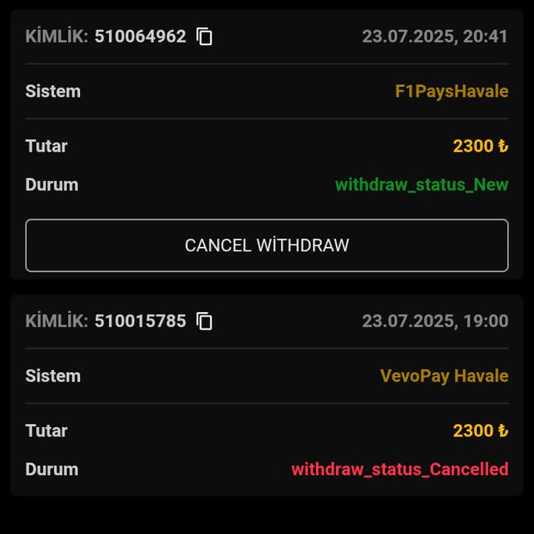 Yatırım Sonrası Para Çekiminde Yaşanan Sorun Ve Destek Eksikliği