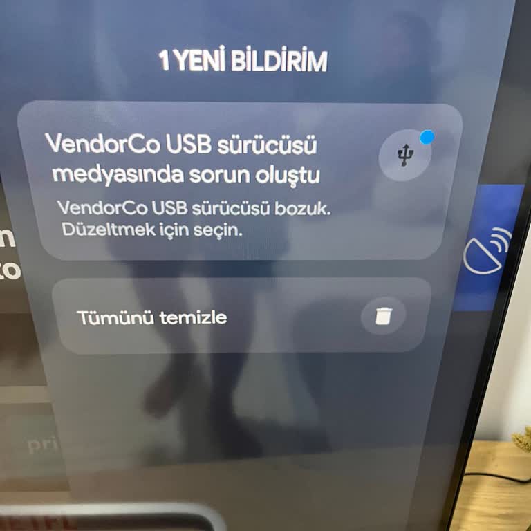 Beko TV'de USB Girişleri Çalışmıyor, Destek Bekliyorum