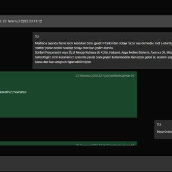Rise Online World'de Haksız Sohbet Banı Ve Yetersiz Destek Deneyimi