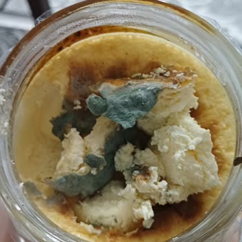 Taze Olmayan Ürünler Ve Stok Sorunu