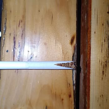 Defolu Sigara Ve Değişen Tat Sorunu