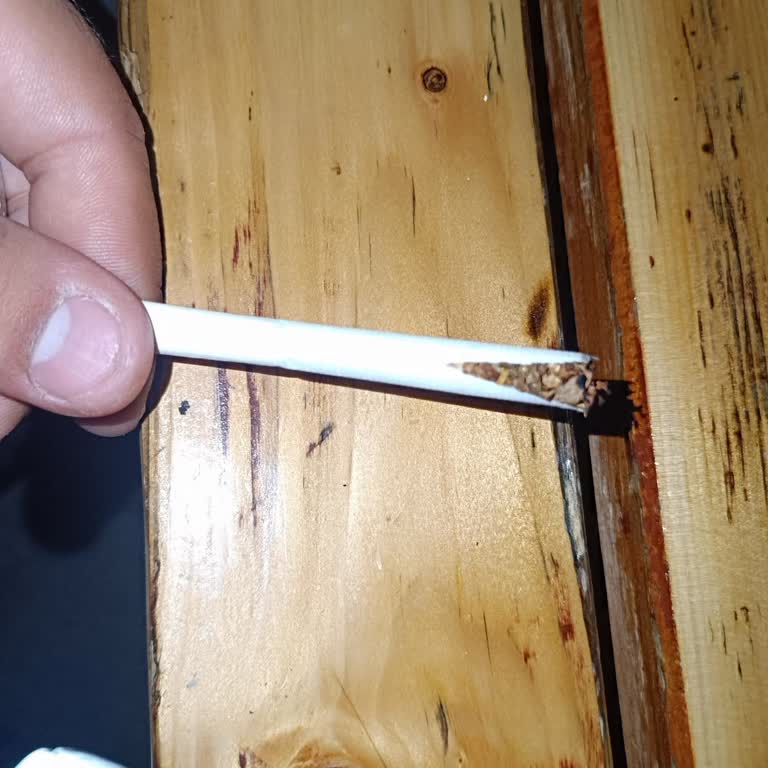 Defolu Sigara Ve Değişen Tat Sorunu