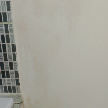 BİM'den Alınan Boya Silince Çıkıyor, Mağduriyetimin Giderilmesini İstiyorum