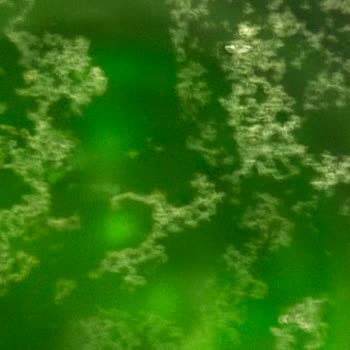 Aldığım Soda Paketinde Boş Ve Hasarlı Şişelerle Karşılaştım