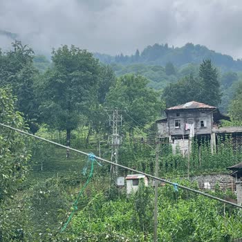 TEDAŞ Rize/Ardeşen'de Eski Ve Tehlikeli Elektrik Tesisatına Müdahale Bekliyoruz!