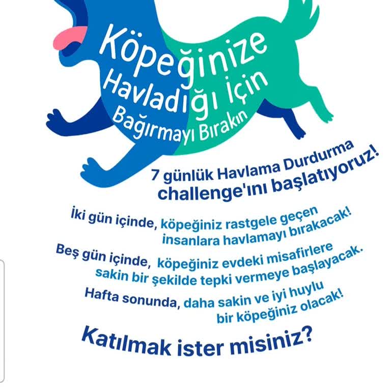 Reklamda 'İyi Huylu Köpek' İfadesinin Yanıltıcı Ve Rahatsız Edici Olması