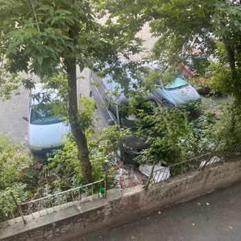 Apartman Önündeki Eski Yurt Alanının Çöplüğe Dönüşmesi Ve Park Talebi