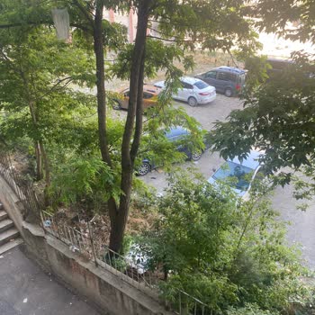 Apartman Önündeki Eski Yurt Alanının Çöplüğe Dönüşmesi Ve Park Talebi
