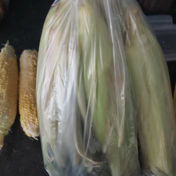 Migros Alışverişimde Kargo Ücreti Ve Kalitesiz Ürün Mağduriyeti