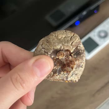 Aldığım Kuru Meyvelerin İçinden Yabancı Maddeler Çıktı İlgisiz Kaldılar