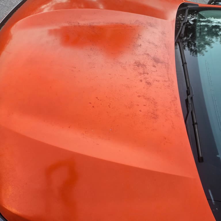 Kaput Koruma Filmindeki Kalite Sorunu Ve Yüksek Onarım Ücreti Mağduriyeti