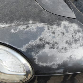 Fiat 500L'nin 8 Yılda Yaşadığı Ciddi Kalite Sorunları