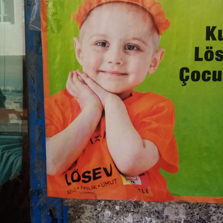 Lösemili Çocuklara Gönderilen Bağışa ING Bankası Engeli