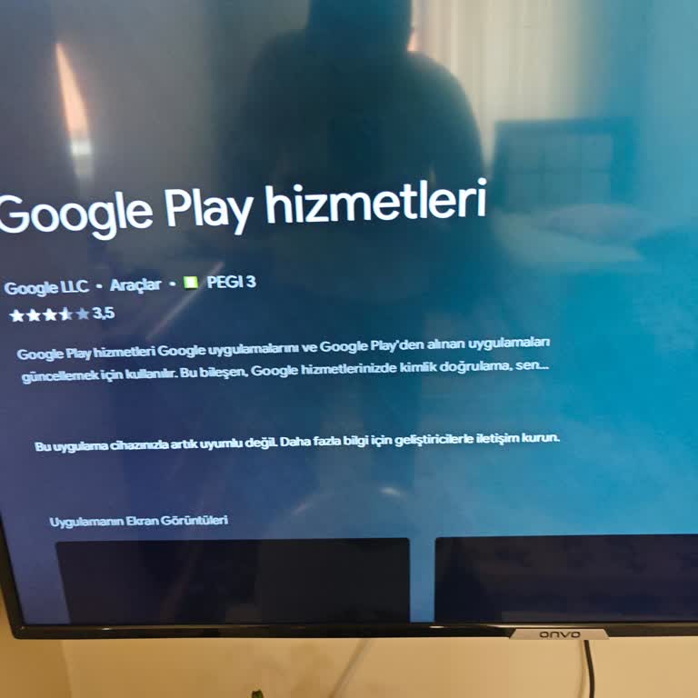 Onvo Fernseher unterstützt Netflix nicht mehr, Google Play Fehler & Frust